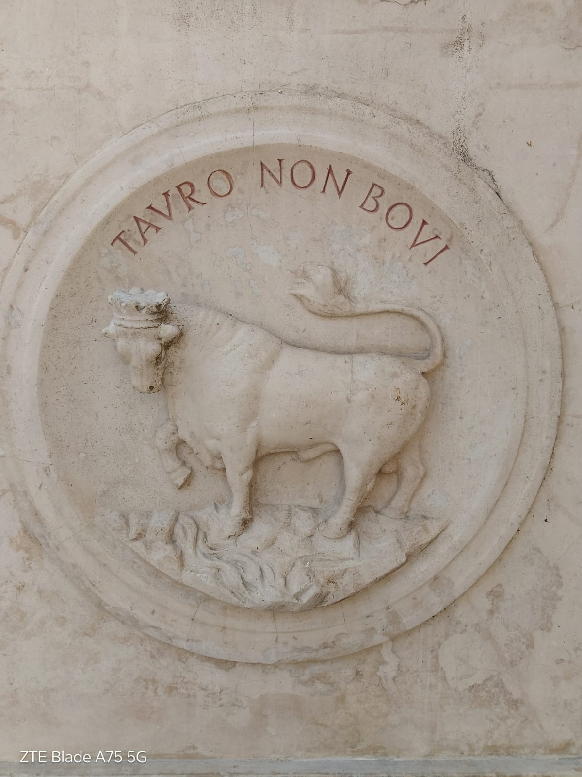 Símbolo do touro de Nardò.